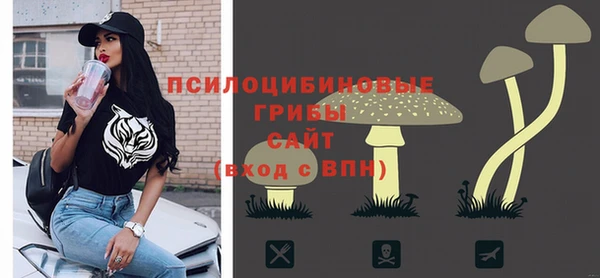 хмурый Алзамай
