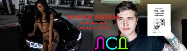 хмурый Алзамай
