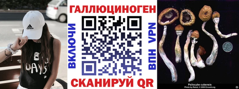 Галлюциногенные грибы ЛСД где продают Алексин